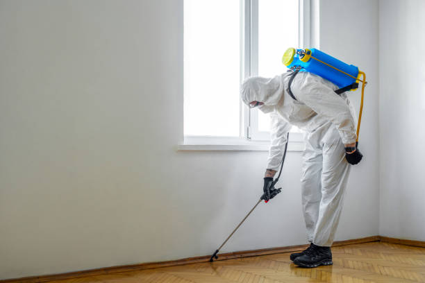 Best Pest Inspection Near Me  in Antioch, CA