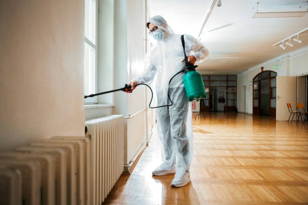 Best Pest Control for Homes  in Antioch, CA